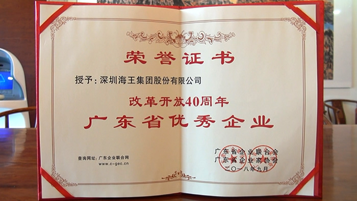 2018年 韦德亚洲集团荣获“改革开放四十年广东省优秀企业”